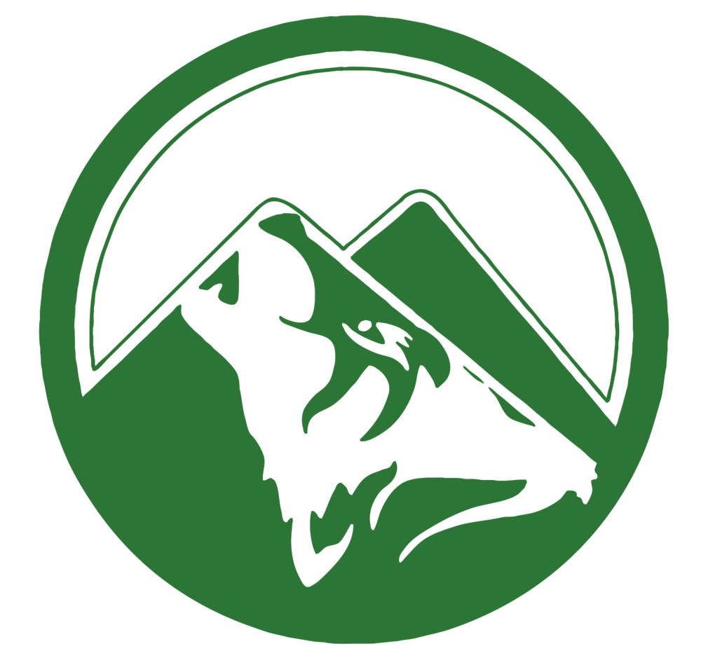 Twin Peaks Logo 