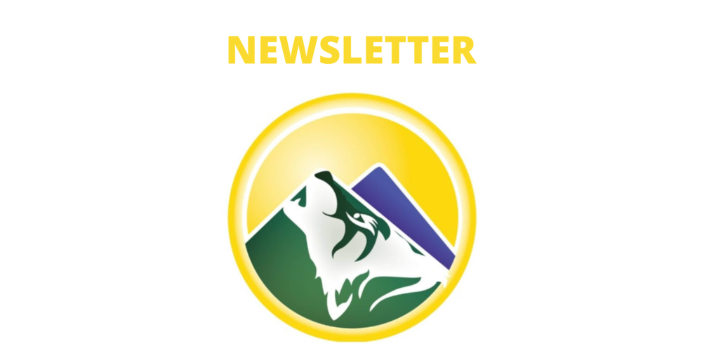 Newsletter and Twin Peaks Logo 
